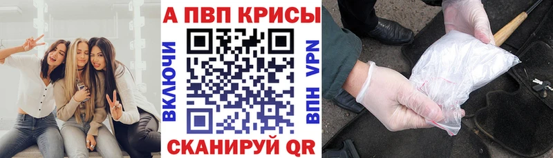 Альфа ПВП СК Петрозаводск