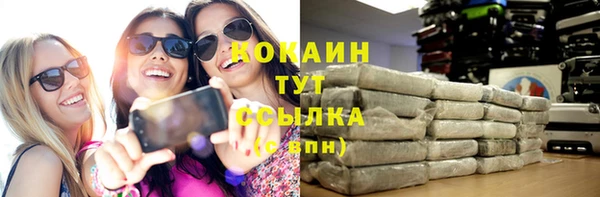 молекула духа Алексин