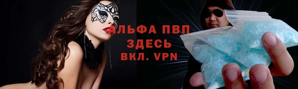 СК Алзамай