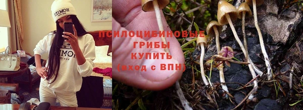 молекула духа Алексин