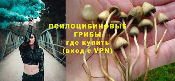 молекула духа Алексин