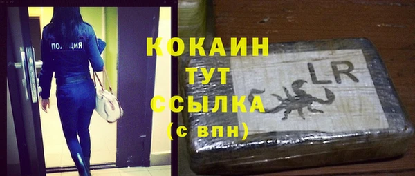 молекула духа Алексин